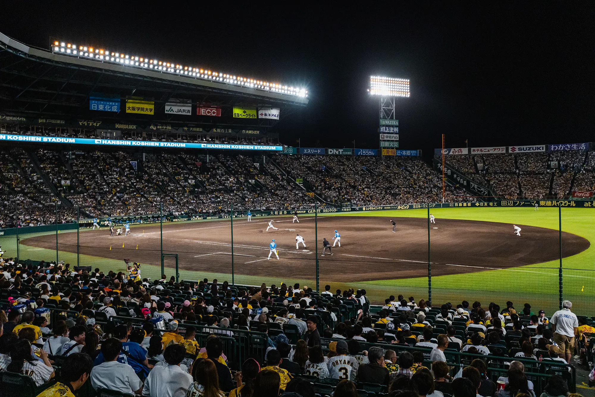 アイビーシートからの風景写真