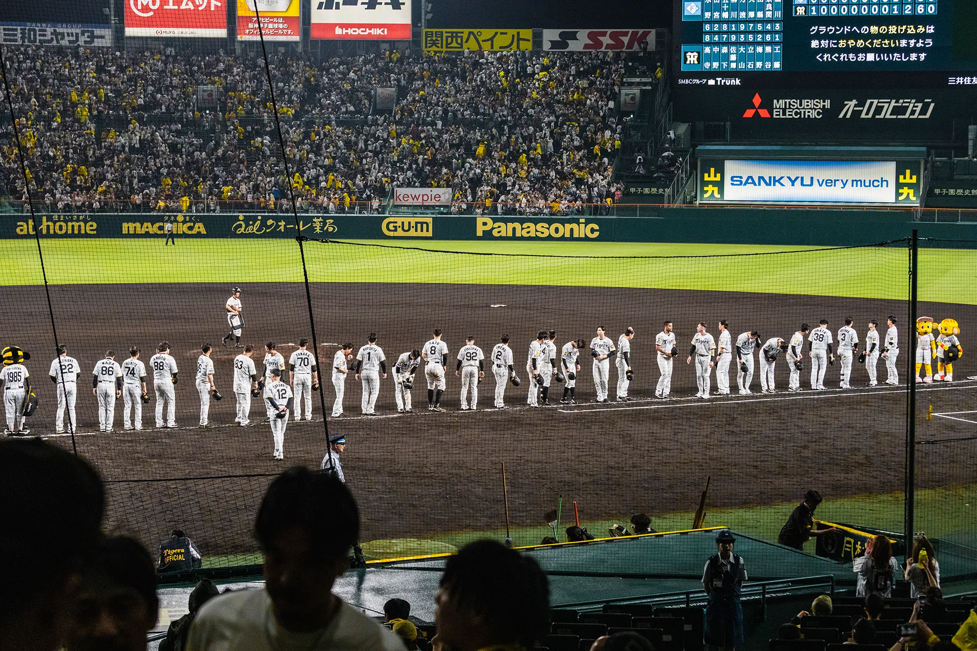アイビーシートからの風景写真