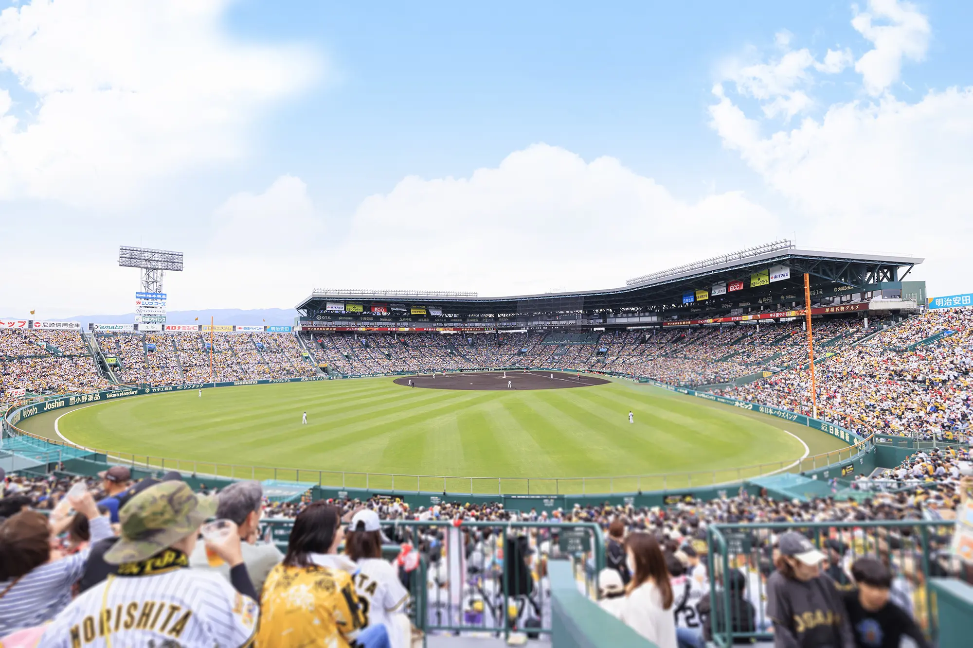 レフト外野指定席からの風景写真