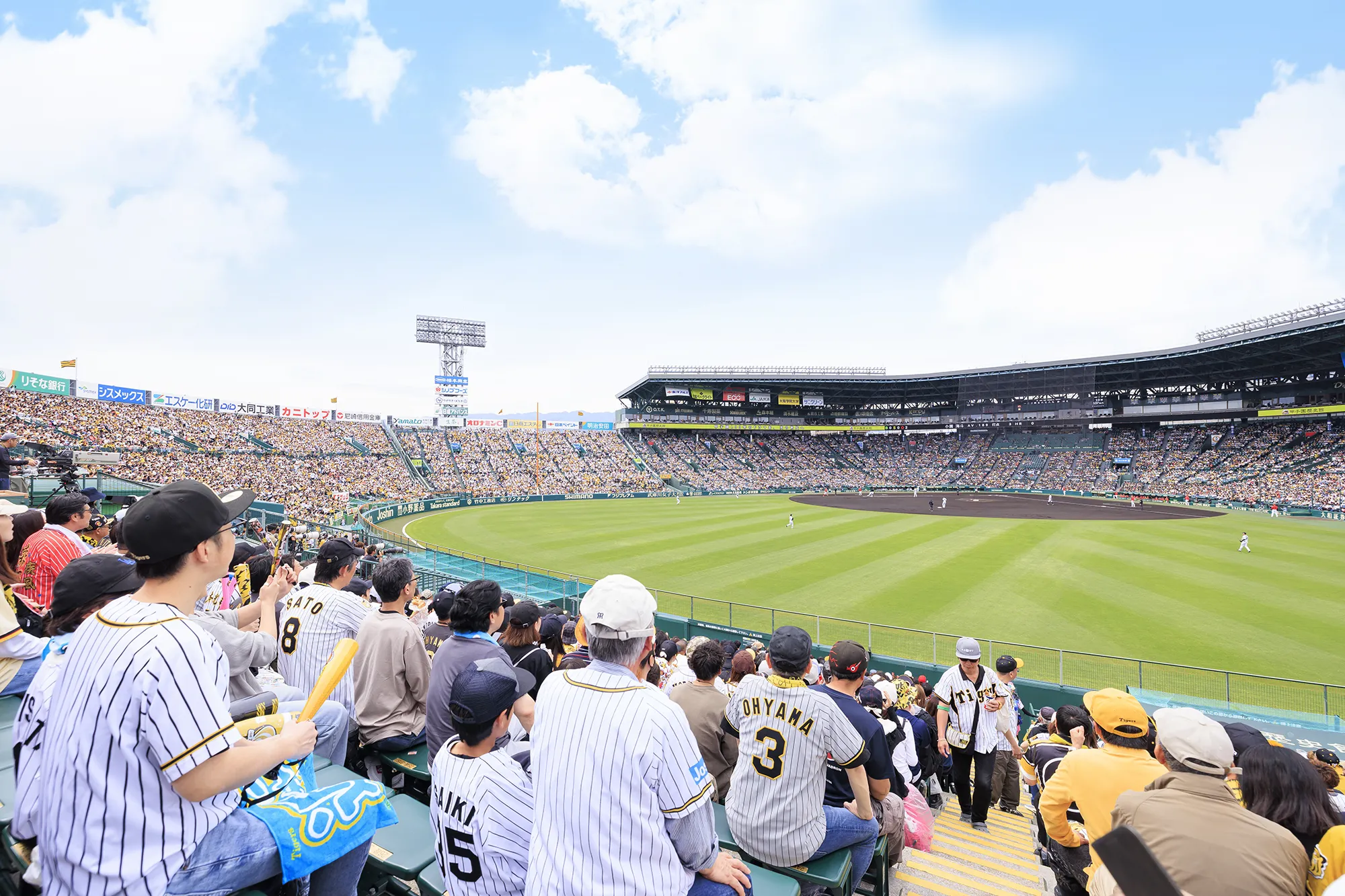 レフト外野指定席からの風景写真