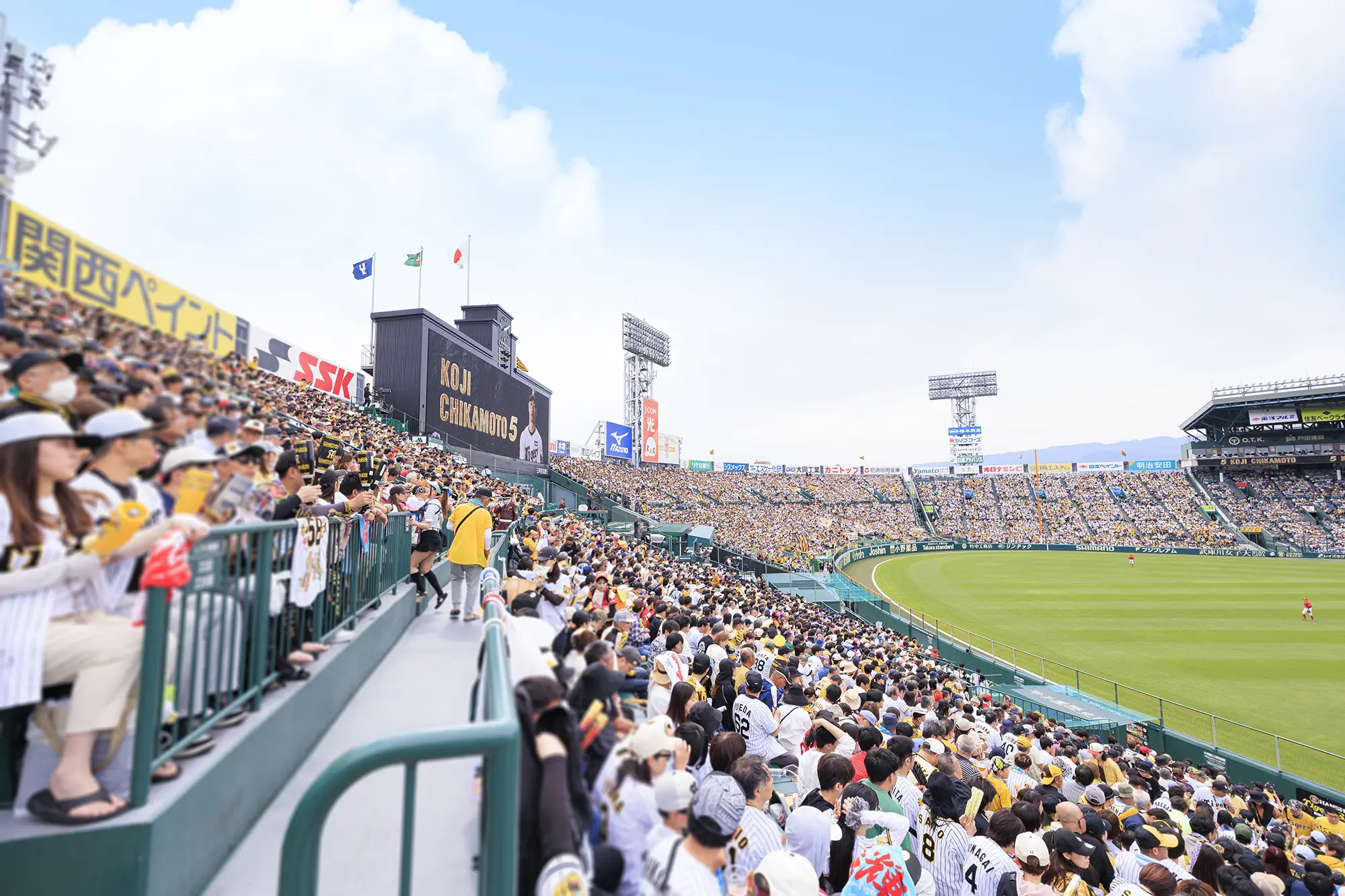 レフト外野指定席からの風景写真