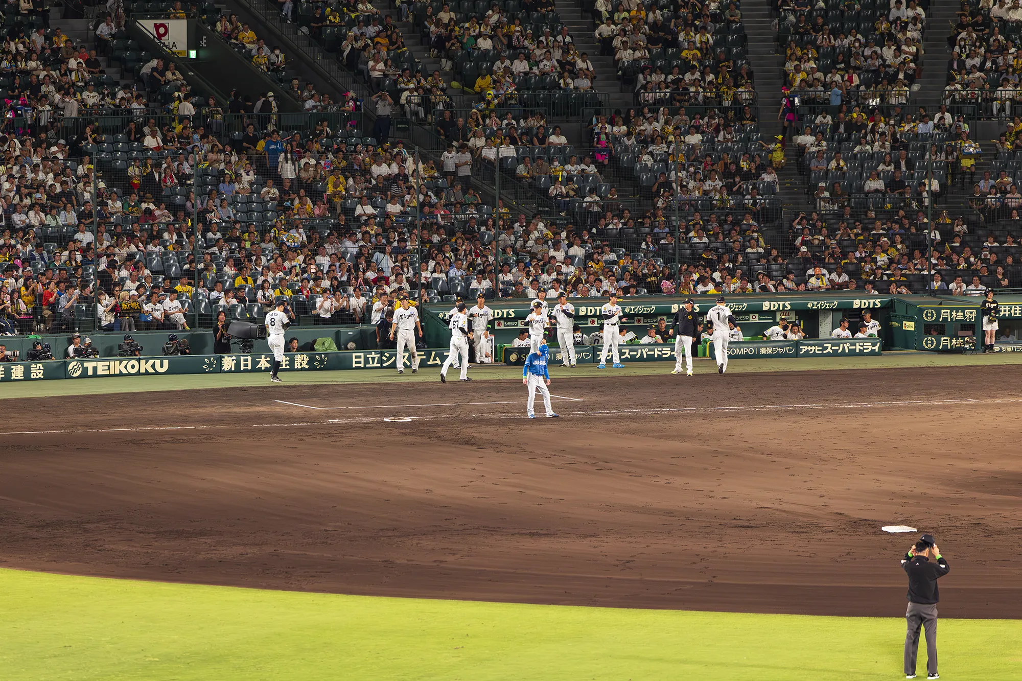 レフト外野指定席からの風景写真