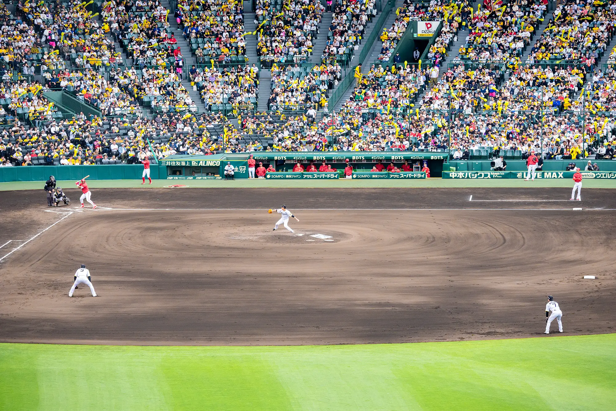 ライト外野指定席からの風景写真