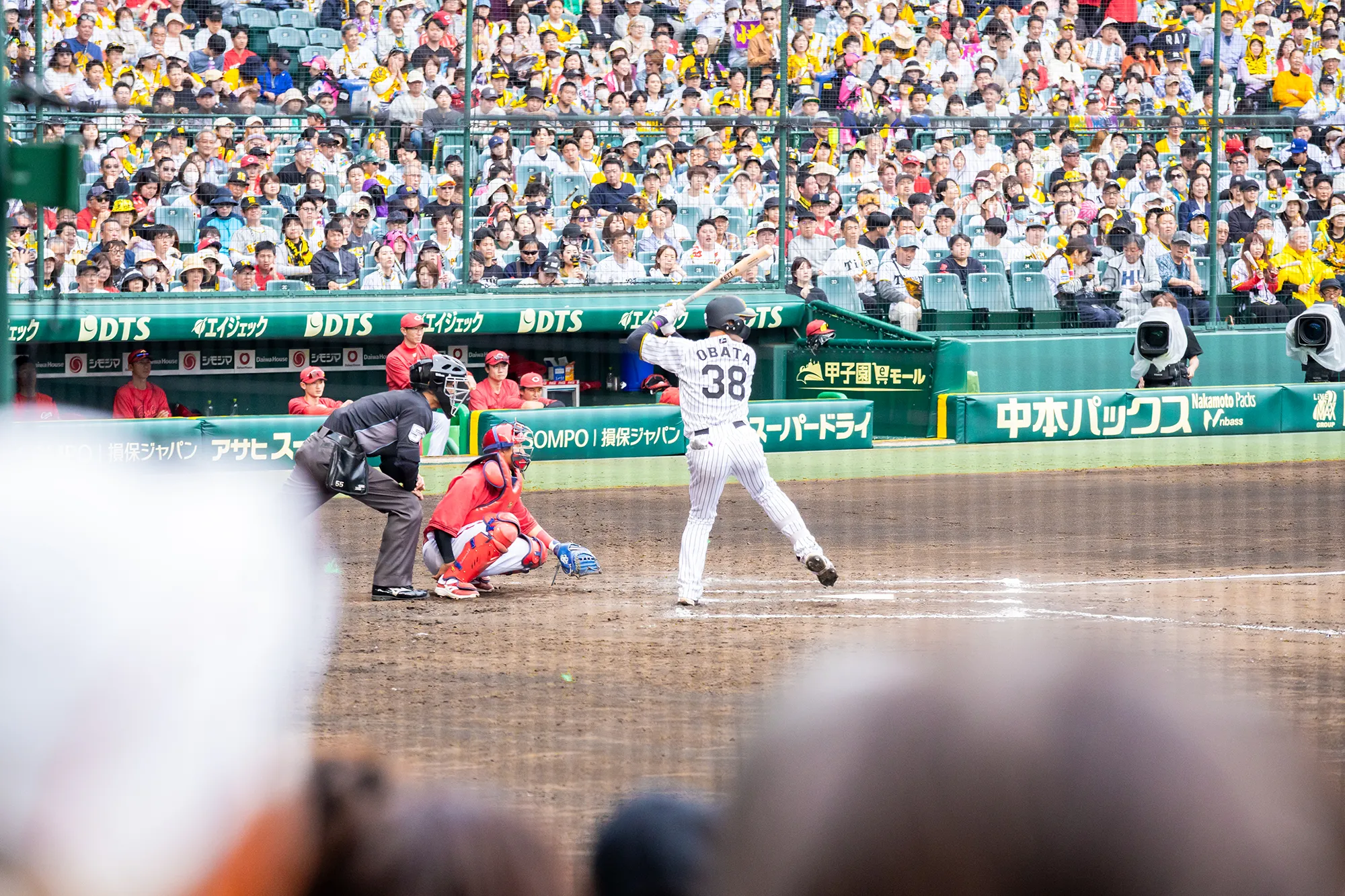 SMBCシート(1塁)からの風景写真