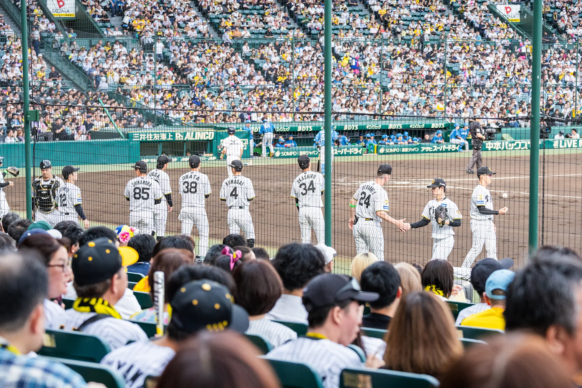 SMBCシート(1塁)からの風景写真