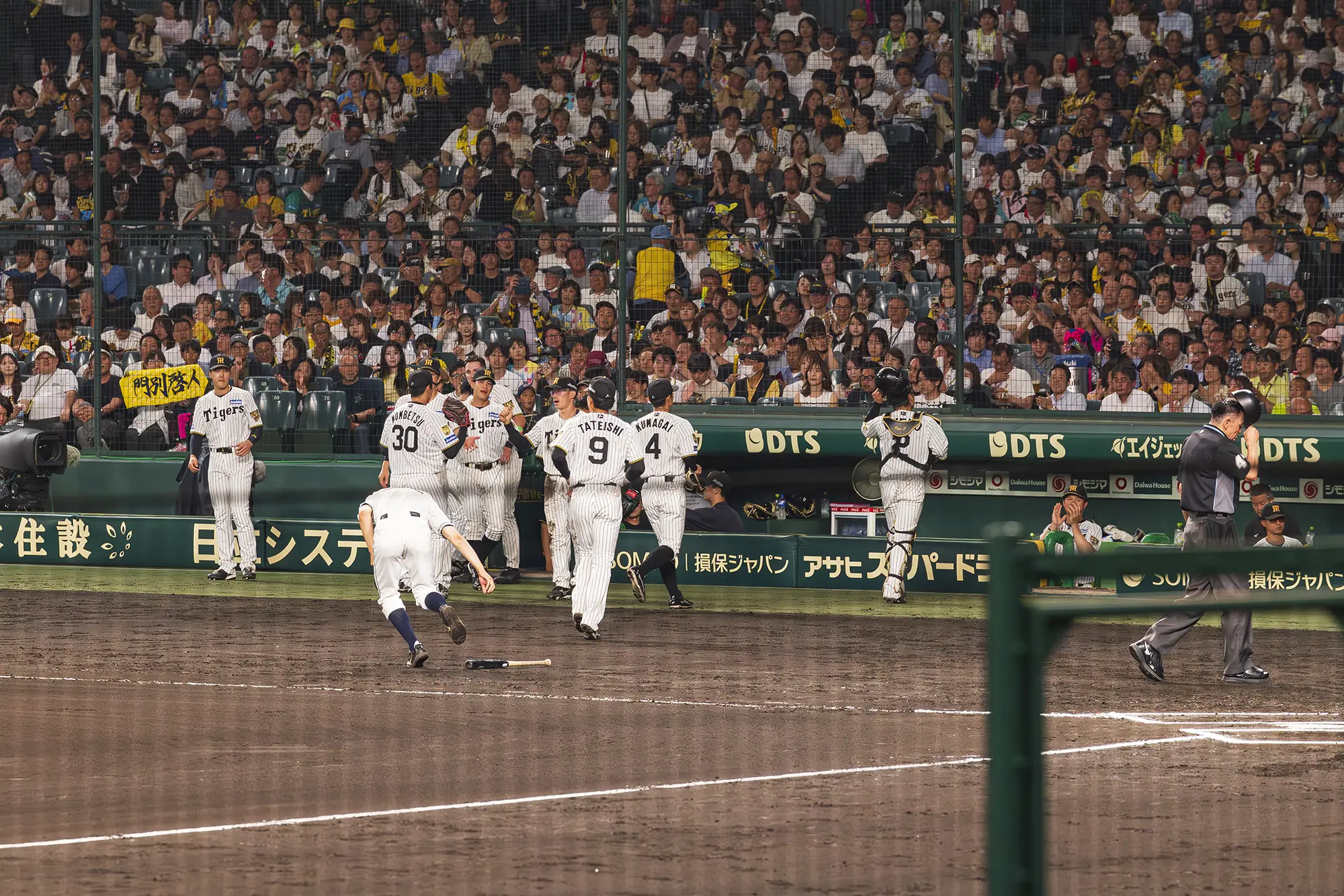 SMBCシート(3塁)からの風景写真