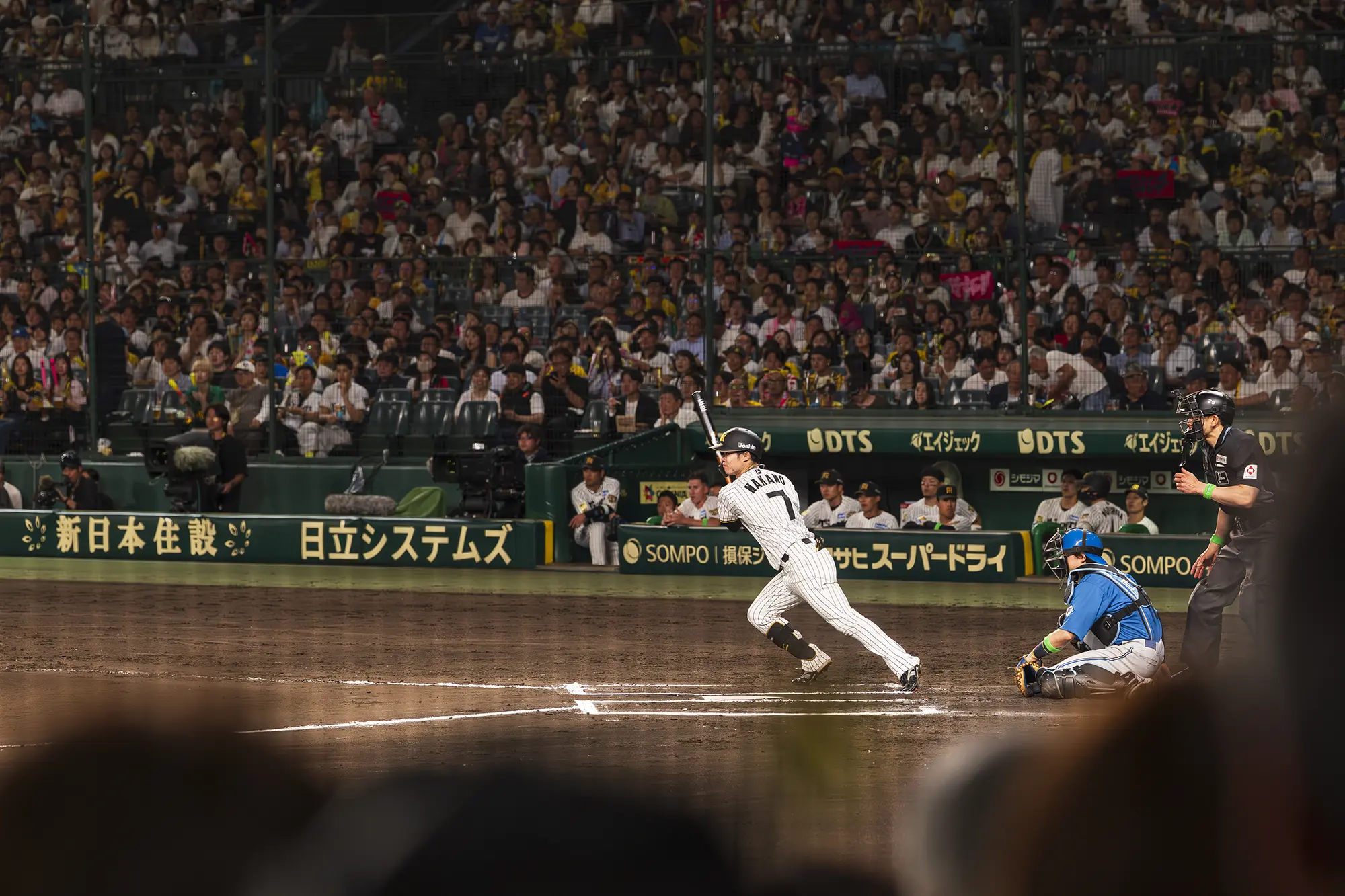 SMBCシート(3塁)からの風景写真