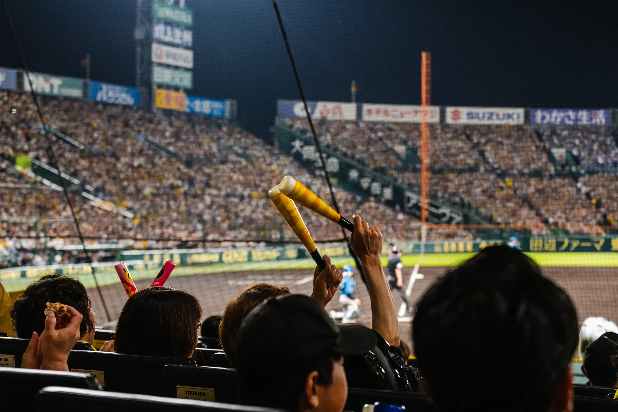 OSHIBAプレミアムシートからの風景写真12