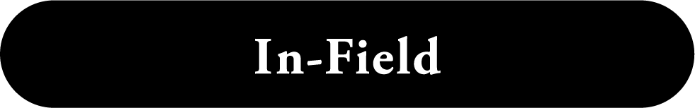 In-Field 内野エリア