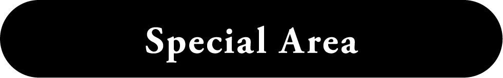 Special Area スペシャルエリア