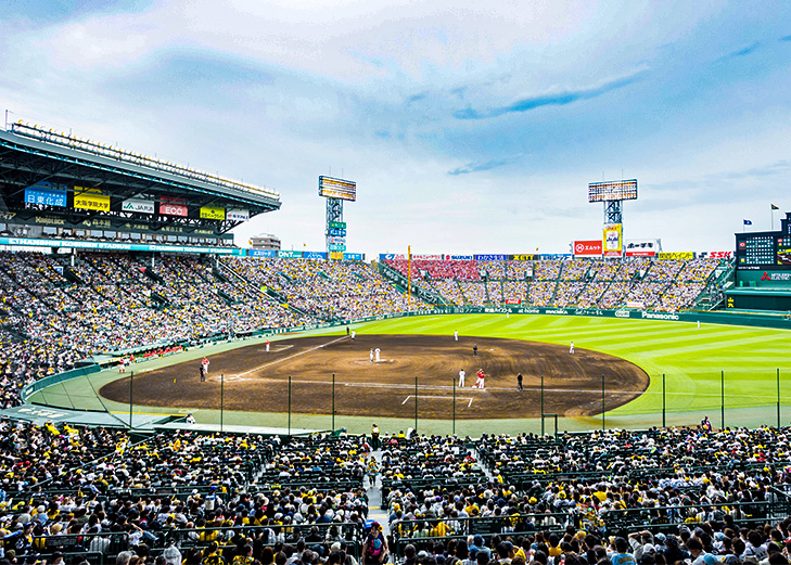 アイビーシート