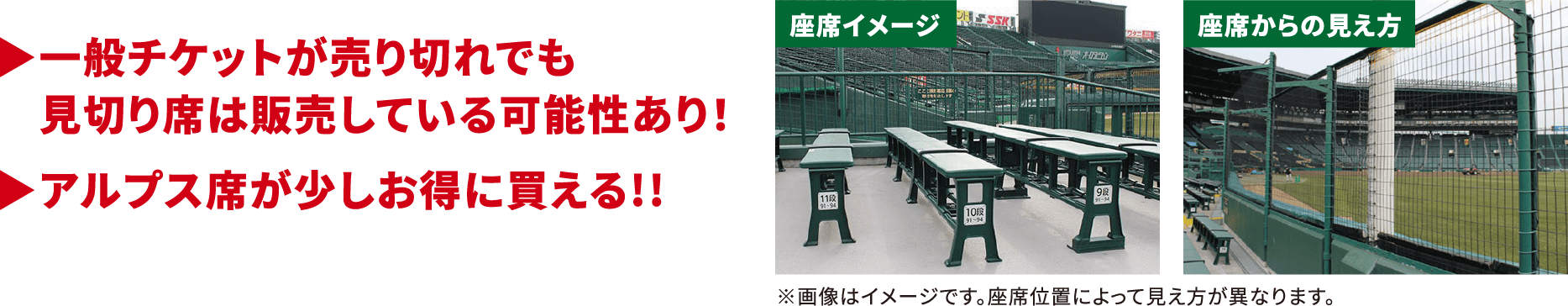  一般チケットが売り切れでも見切り席は販売している可能性あり！アルプス席が少しお得に買える!!