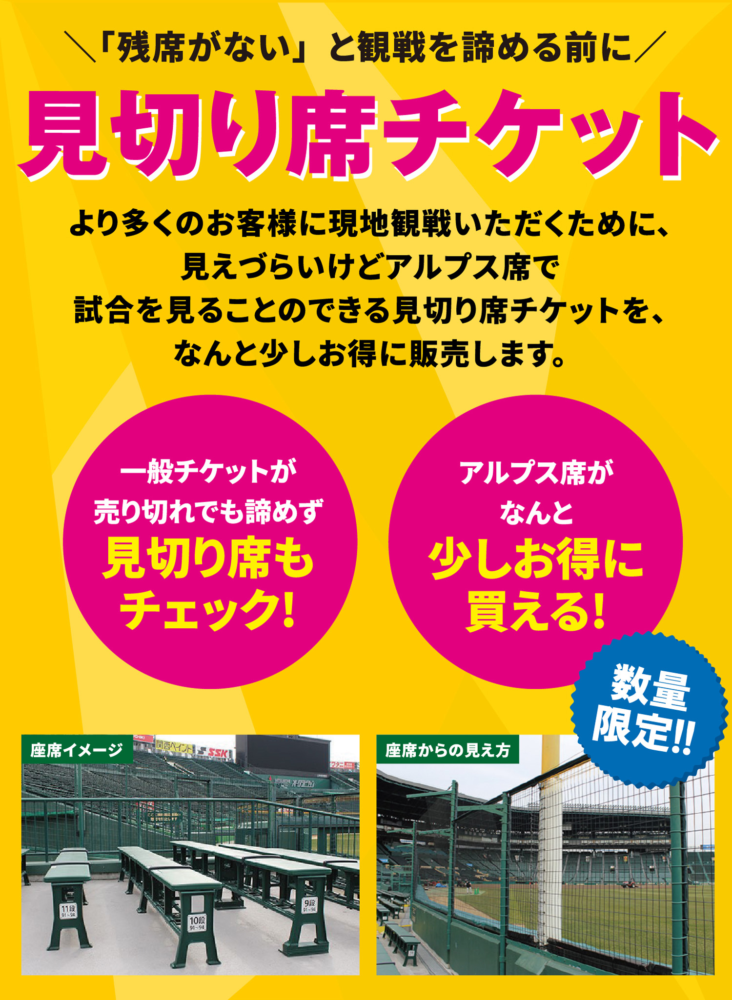 HANSHIN Koshien STADIUM 2024 企画チケットLIMITED | 阪神甲子園球場